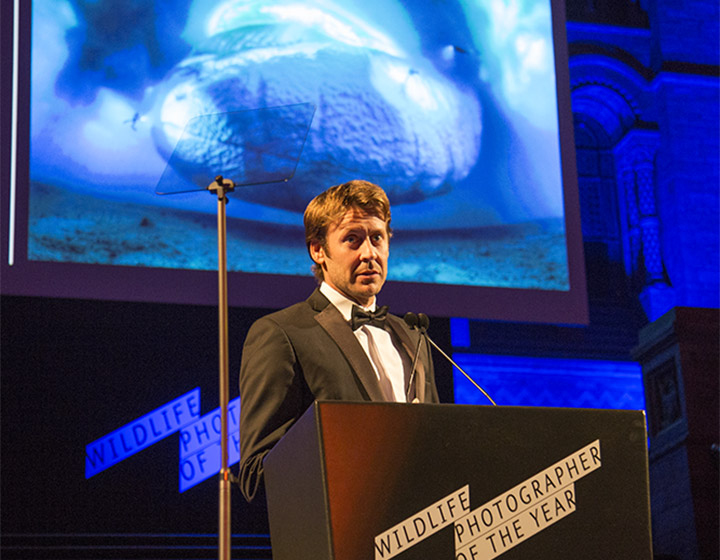 Laurent Ballesta wins the Wildlife Photographer of the Year