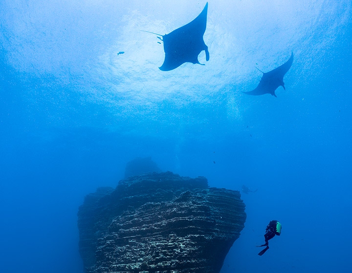 Blancpain e PADI uniscono le forze per contribuire alla protezione del 30% degli oceani entro il 2030